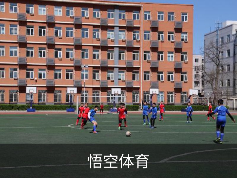 悟空体育简介